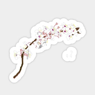 Sakura flower Sticker